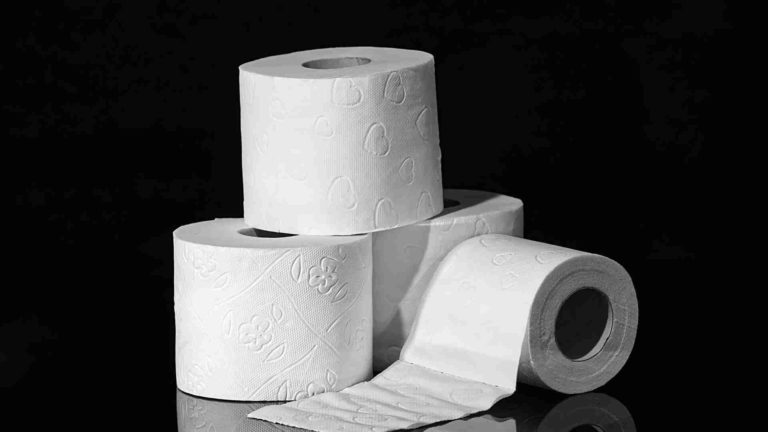 Read more about the article List of great toilet papers