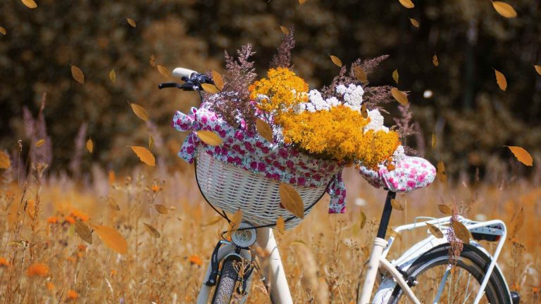 Read more about the article Autumn Flower Arrangements [Tips]